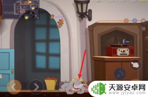 猫和老鼠怎么击晕狗狗派克斯 猫和老鼠怎样才能成功击晕狗狗史派克