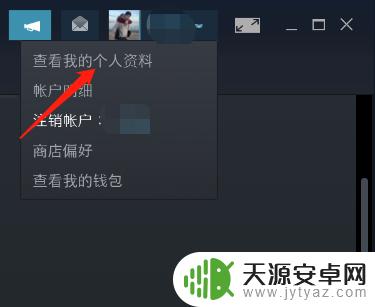 怎么公开steam信息 steam怎么查看他人资料