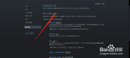 怎么公开steam信息 steam怎么查看他人资料