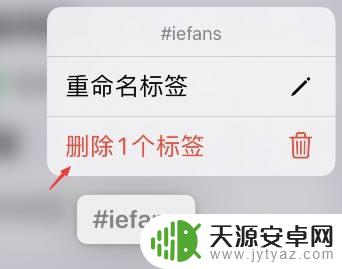 苹果手机分类标签怎么去掉 如何删除iPhone提醒事项中的标签