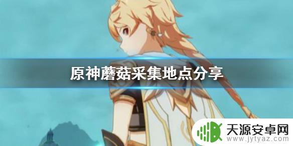 蘑菇原神 《原神手游》蘑菇采集地点推荐