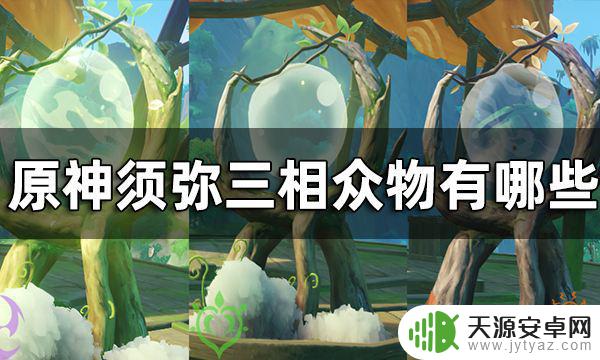 原神弹弹菇怎么活化 原神三相众物种类一览及介绍