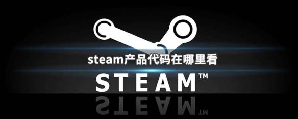 gta5的游戏id在哪里卡包 steam产品代码在哪里查找