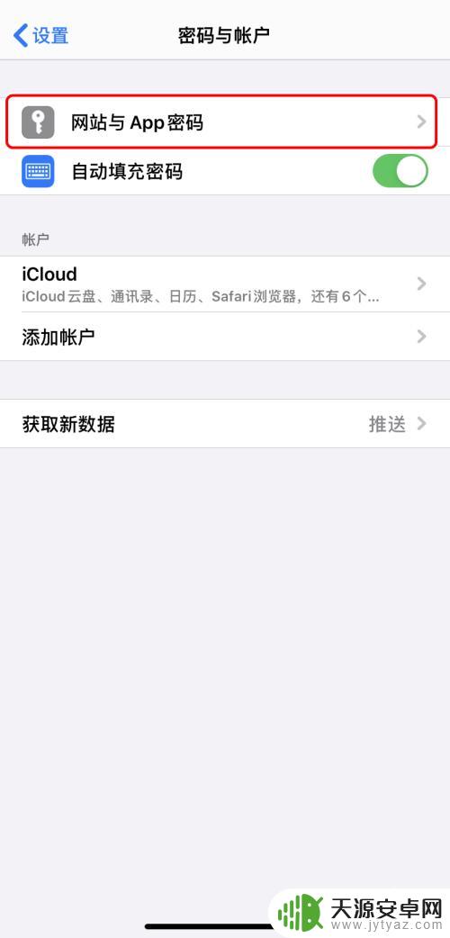 怎么看苹果手机设置的密码 iPhone如何查看已保存的应用密码