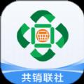 共销联社