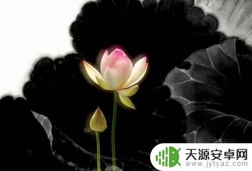 手机长时间不用是关机好还是开机好 电脑用完一定要关机吗有什么影响