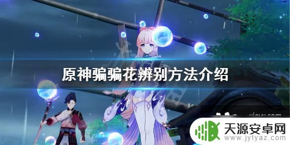 原神骗骗花什么样 《原神》骗骗花怎么辨别