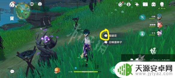 原神骗骗花什么样 《原神》骗骗花怎么辨别