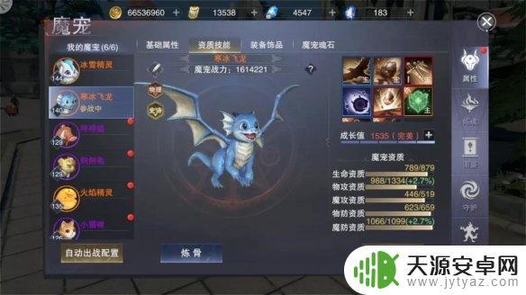 新神魔大陆装备附魔攻略 新神魔大陆咒术师附魔技能选择攻略