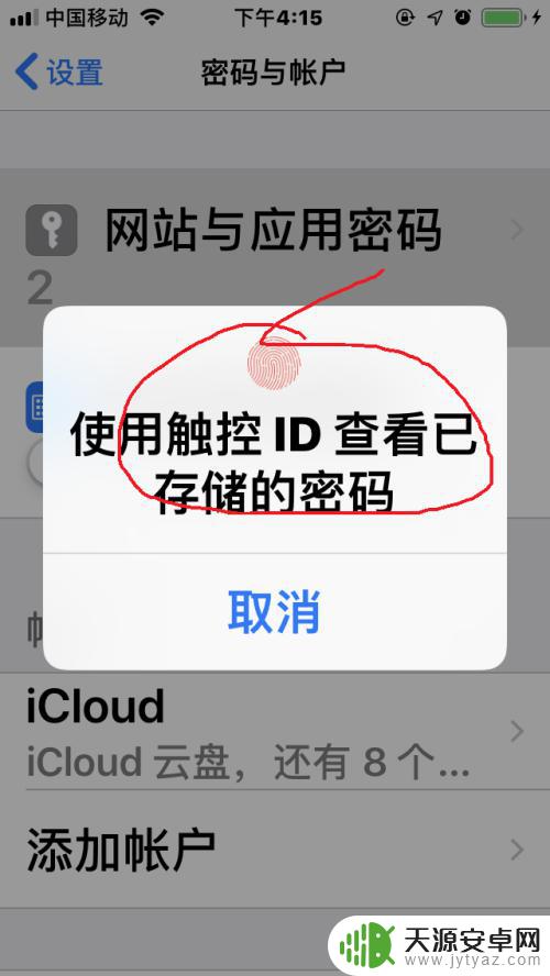 苹果手机网站加密怎么设置 苹果手机如何查看网站和应用密码