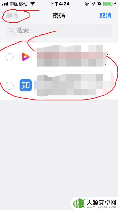 苹果手机网站加密怎么设置 苹果手机如何查看网站和应用密码