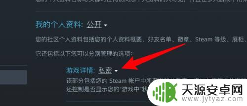 steam 隐身游戏 Steam怎样隐藏游戏不让好友看到