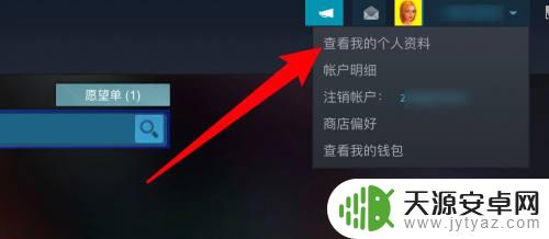 steam 隐身游戏 Steam怎样隐藏游戏不让好友看到