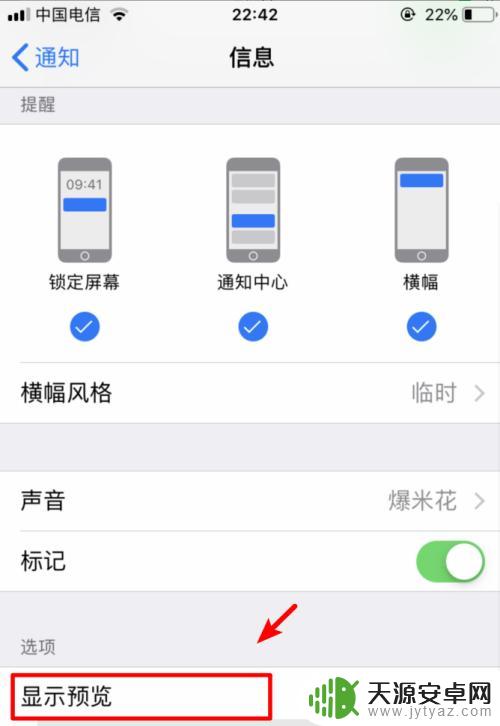 苹果手机收到信息不显示内容怎么设置 如何在iPhone手机上设置短信隐私