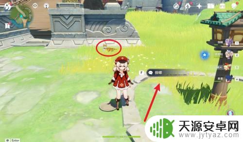 原神如何投喂宠物 原神怎么喂养动物