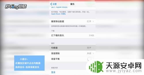 苹果手机怎么变声大 苹果手机声音设置教程