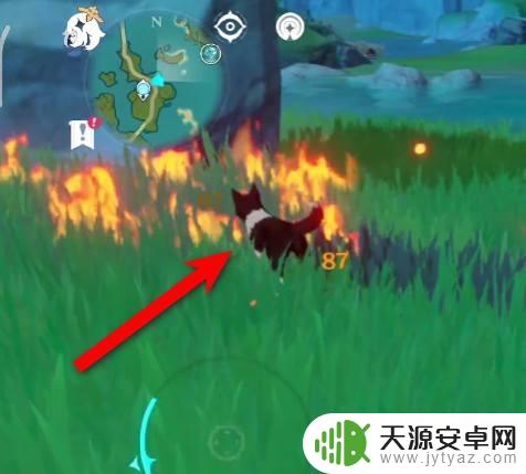 原神帮辉子把狗赶走 原神荻花洲狗怎么驱逐