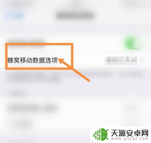 苹果手机查自家网速 怎样让苹果手机显示实时网速