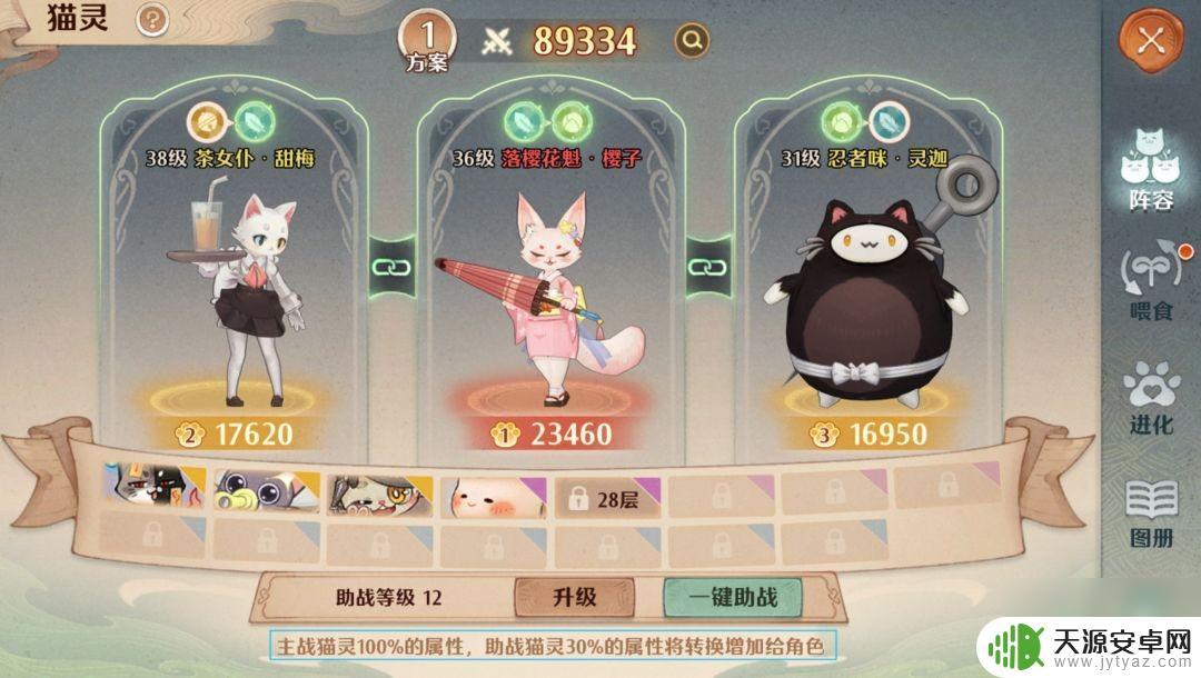 森之国度如何改名 《森之国度》魔导玩法玩家心得