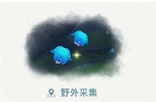 原神托马突破材料幽灯蕈哪里卖 原神幽灯蕈在哪里可以买到
