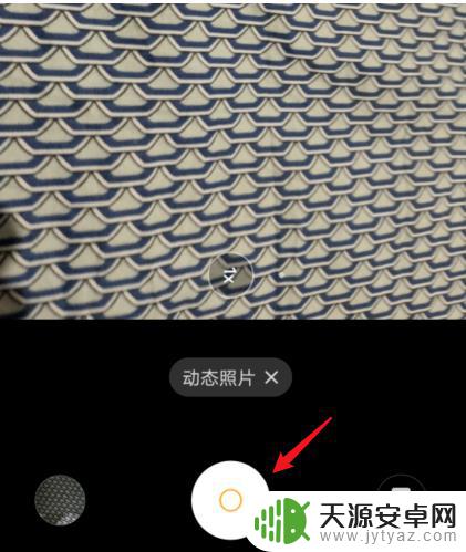 vivo手机动图怎么拍 vivo手机如何拍摄动态照片