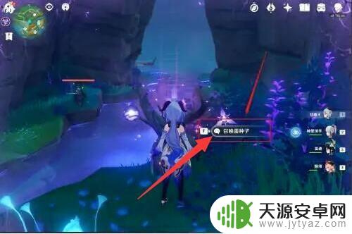 原神雷种子冒黑气怎么净化 原神雷种子污染解除方法