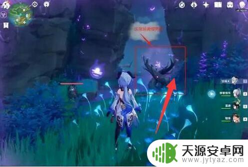 原神雷种子冒黑气怎么净化 原神雷种子污染解除方法