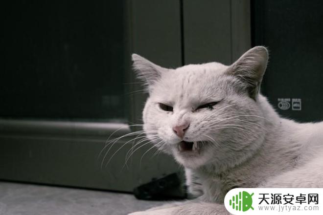 尼康z30照片 尼康Z 30揣兜就走
