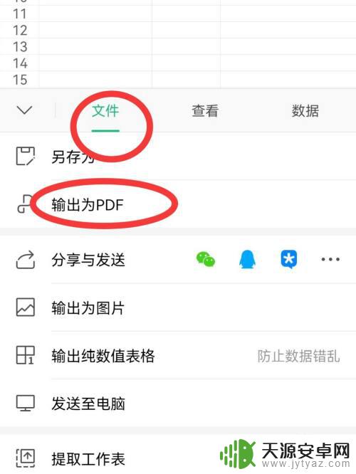 手机wps如何转pdf 手机版WPS如何将文档保存为PDF版本