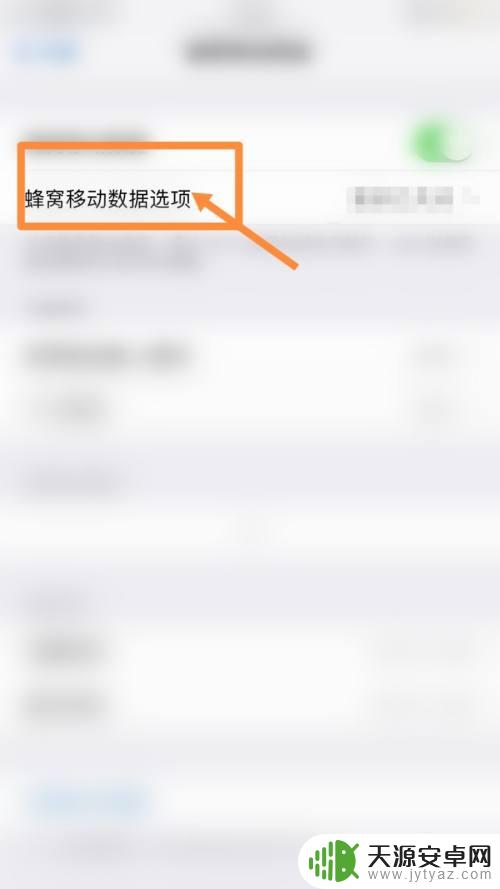 苹果手机如何开流量速度 苹果13显示实时网速的方法