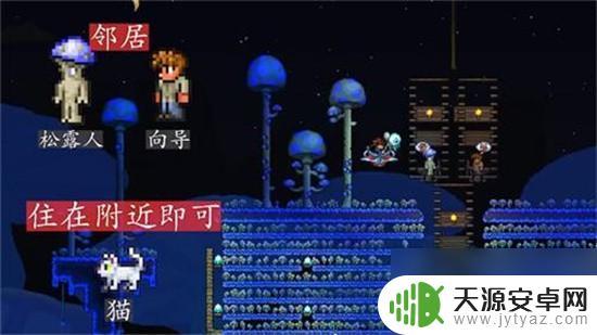泰拉瑞亚如何分配npc房间 泰拉瑞亚npc入住地点选择方法