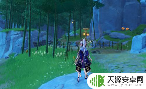 原神竹子在哪砍 原神竹节怎么种植