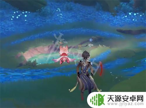 甘露村在哪里 《原神》甘露池怎么找