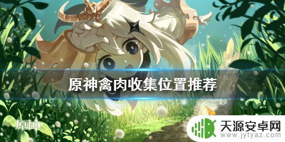 原神怎么获取鸡肉 《原神》禽肉收集地点推荐