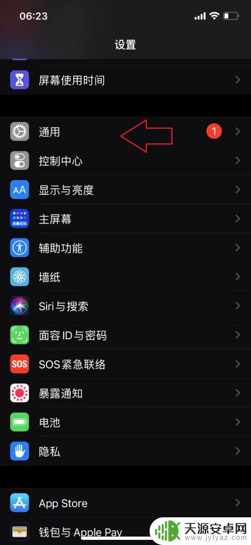 苹果手机信号满格打不出电话 iphone信号满格但无法接打电话