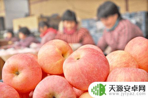 苹果手机滞销怎么解决 解决苹果滞销问题的有效途径