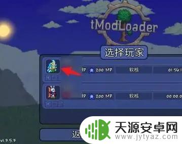 泰拉瑞亚队友权限怎么设置 泰拉瑞亚游戏中怎么给好友建造权限
