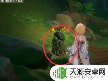 原神星夜之章使用苦舍恒解除钵参花 如何解除原神苦舍恒任务中的钵参花
