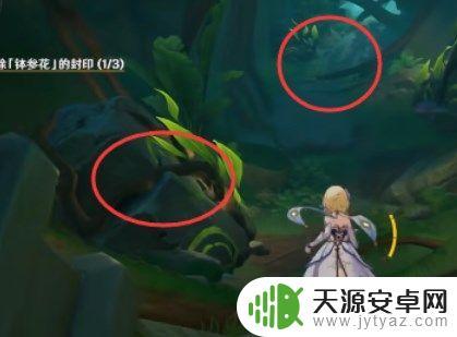 原神星夜之章使用苦舍恒解除钵参花 如何解除原神苦舍恒任务中的钵参花