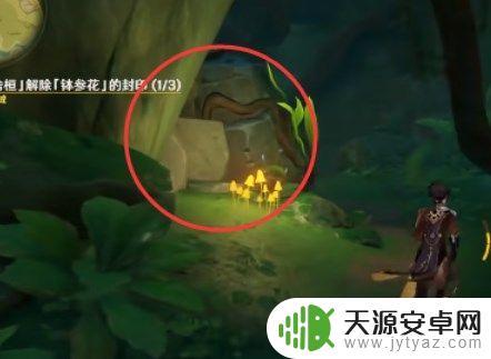 原神星夜之章使用苦舍恒解除钵参花 如何解除原神苦舍恒任务中的钵参花