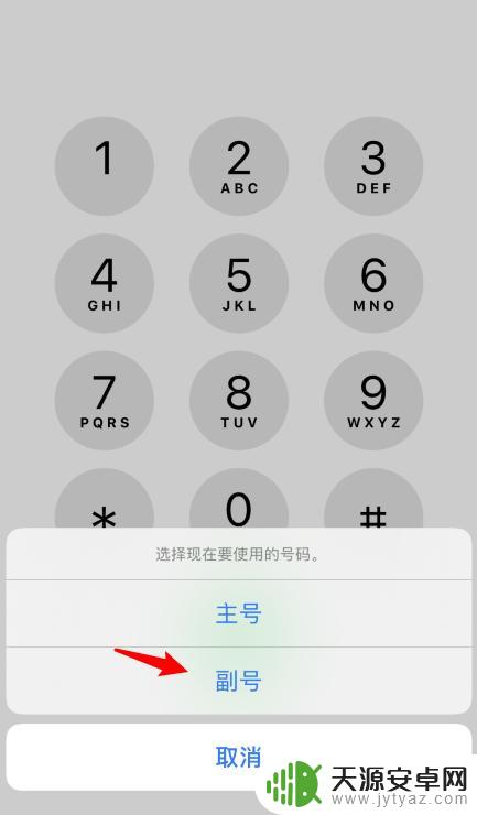 手机如何设置主号码和副号 iPhone11如何进行主号副号切换通话操作